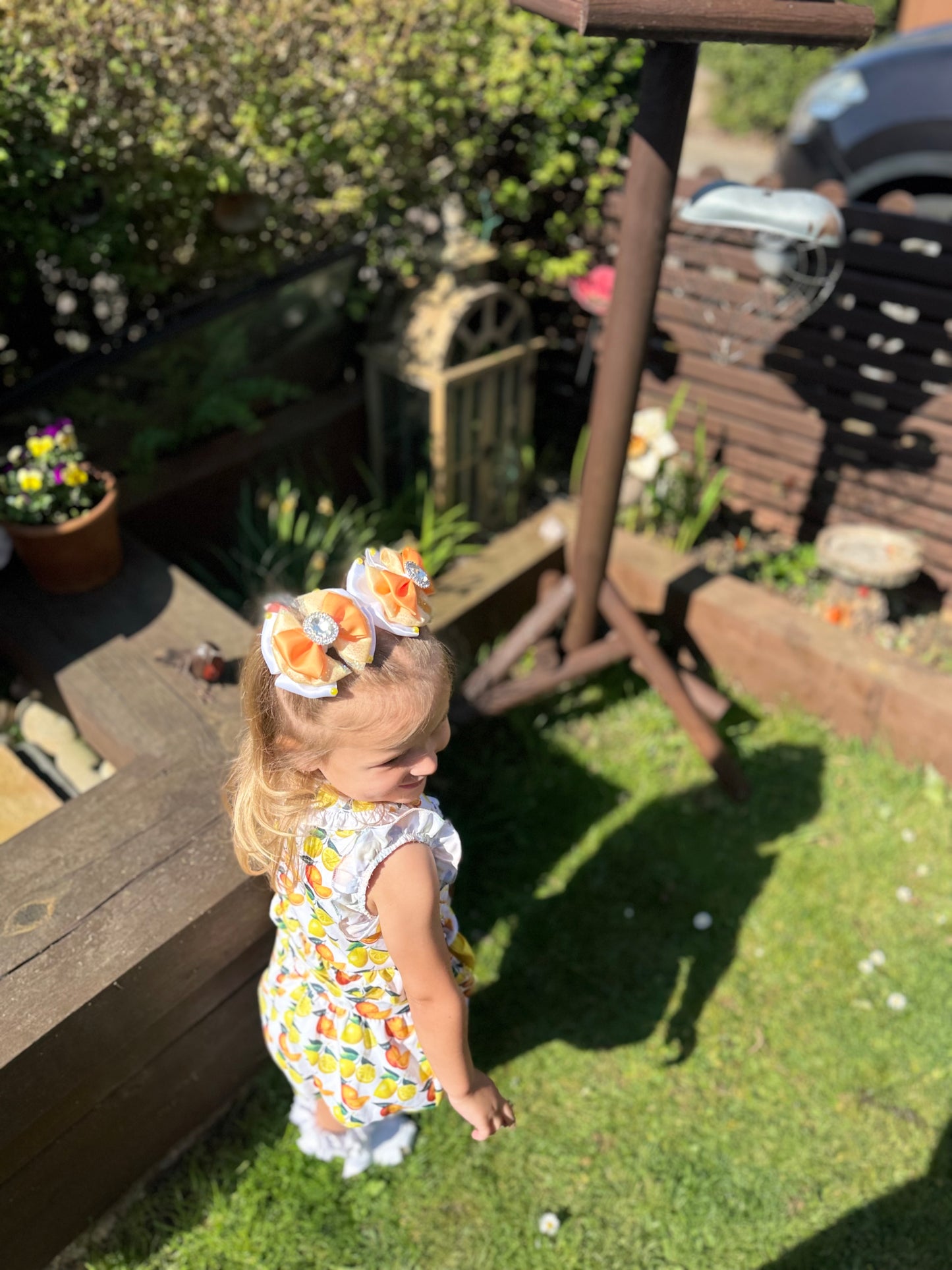 Oranges and lemons